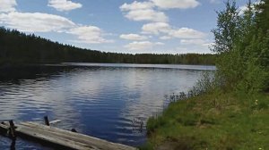 Звуки природы лесной реки. Пение Птиц