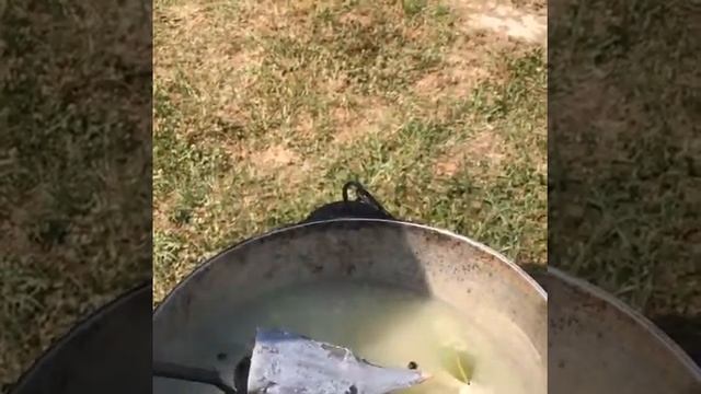 Уха из осетра !!!РЫБАЛКА ЕГОРЬЕВСК!!!АНОХИНО смотреть онлайн