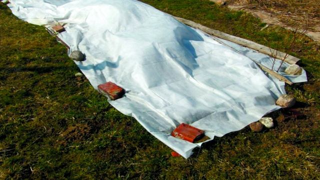 НЕ ЗАГУБИТЕ САЖЕНЦЫ ЗИМОЙ. ЗАЩИТИТЕ. смотреть онлайн