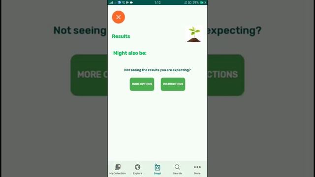 PlantSnap Identifies A Siberian Fir (Abies Sibirica)