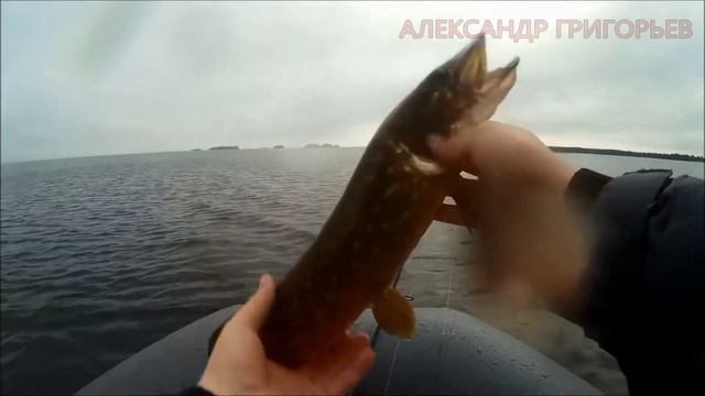 Сямозеро. Открыт сезон рыбалки 2017 по открытой воде. смотреть онлайн