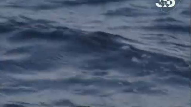 Кронан самый крупный корабль 17 века .Лежащий на морском дне .Что подняли с него археологи . смотреть онлайн