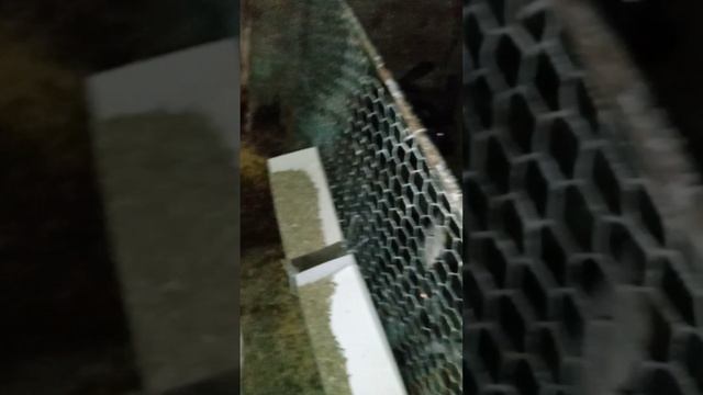 Итоги.Рецепт гранулы для кроликов.Окончания теста нового рецепта. часть 1 смотреть онлайн