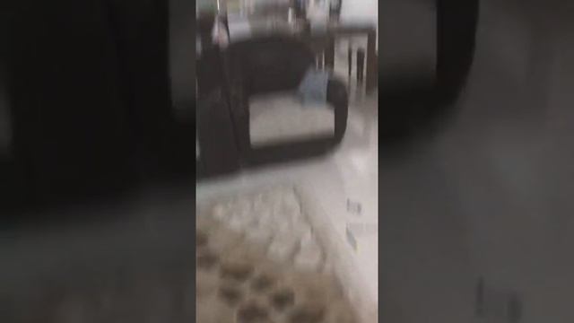 Сквик! ? У нас есть ? кролик. Дети играют в игру. Аиша рисует Джабраил. Оператор Джабраил. смотреть онлайн