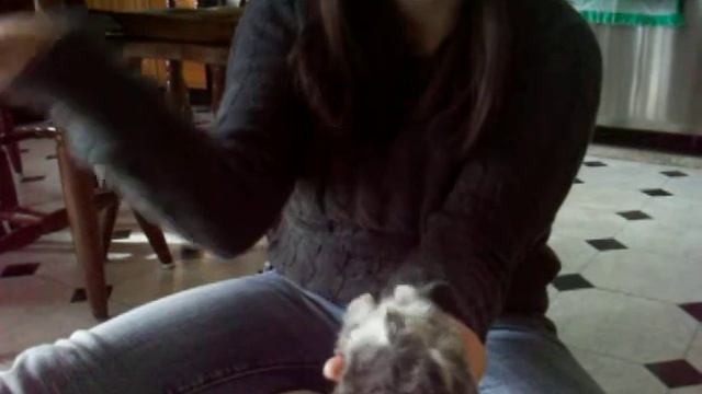 I get the bunny to play dead смотреть онлайн