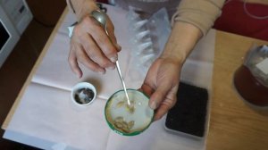 КАК ВЫРАСТИТЬ  КАБАЧКИ на подоконнике. Мои дачные дела!