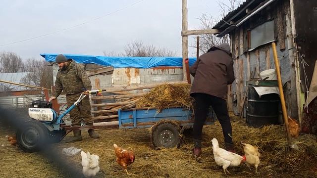 Вывоз навоза Мотоблок НЕВА Деревенские будни смотреть онлайн