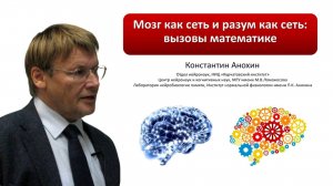 Мозг как сеть и разум как сеть. Константин Анохин