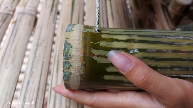 One Year Living Alone In Rainforest, Build Bamboo House, Grow Food | LIVING OFF GRID Ep.5