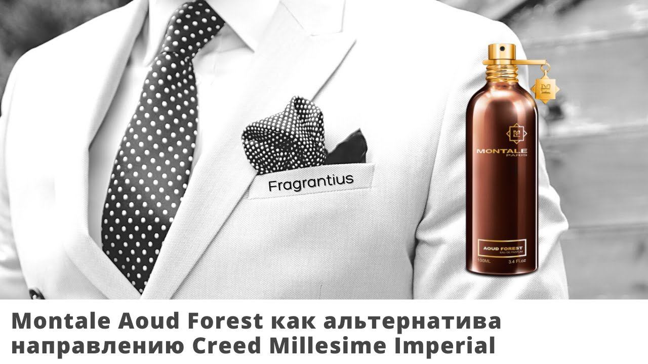 Montale Aoud Forest как альтернатива направлению Creed Millesime Imperial