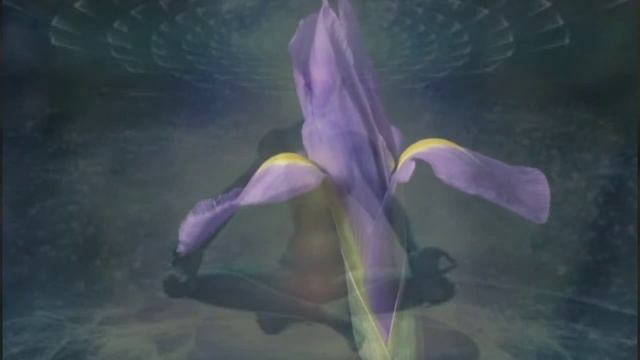 Тета хилинг медитация «Чуткость к истине» смотреть онлайн