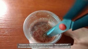 1часть .Кормление аквариумных рыбок замороженным кормом!!!