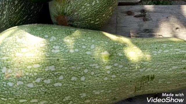 Готовая,жареная соевая паста.Урожай кабачков.Как я сушу кабачки. смотреть онлайн