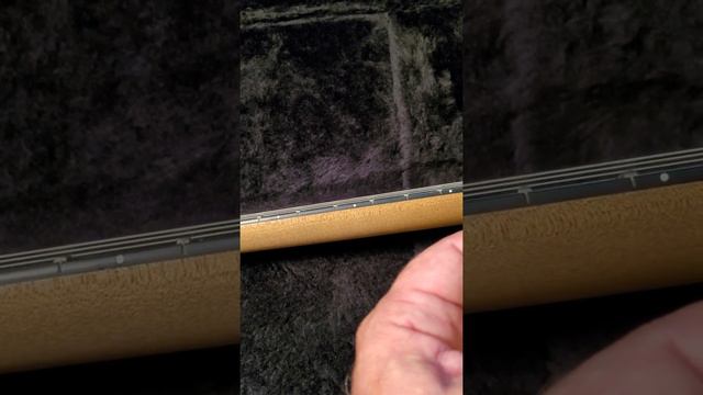 Why a Washburn 4N is more authentic than the N4 authentic. смотреть онлайн