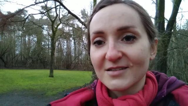 Что запрещено провозить в ручной клади в самолете смотреть онлайн