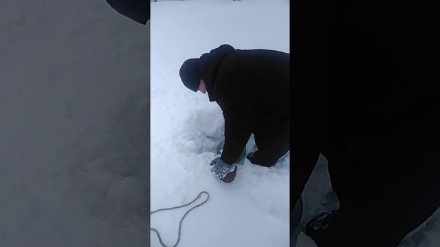 Доставка бутилированной воды.