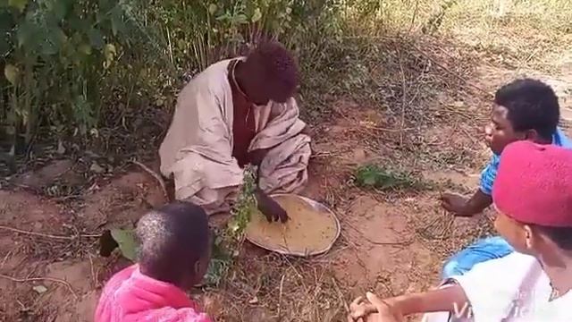 YAN SIYASA @KOLA COMEDIANS смотреть онлайн