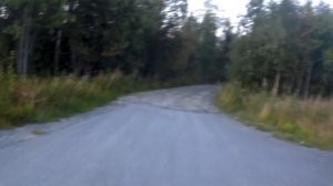 Harley-Davidson Electra Glide 1997 и Road King 1997 - Они такие похожие, но всё-таки разные....