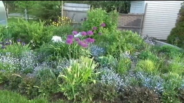 Создаем цветник из многолетников. С чего начать? смотреть онлайн