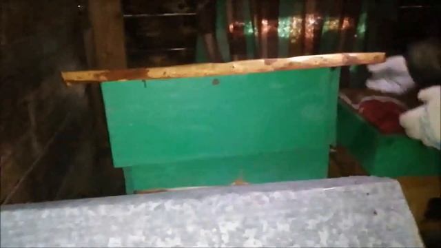 Подкормка пчёл зимой(Февраль).Голодные или нет. смотреть онлайн