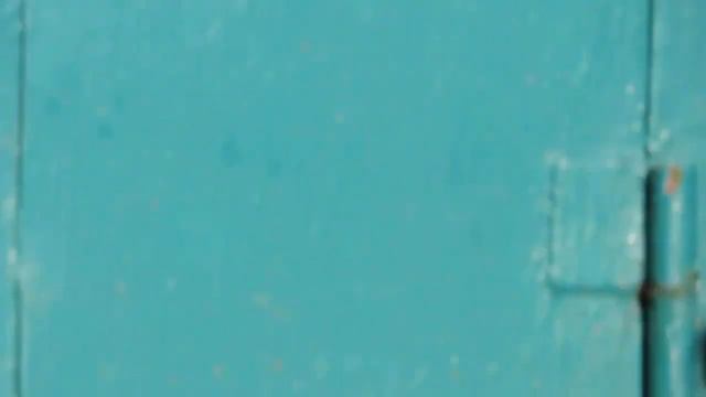 Голуби смотреть онлайн