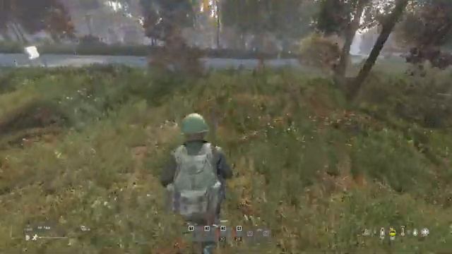 Тренировочный день - DayZ смотреть онлайн