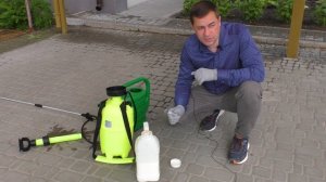 Как удалить СОРНЯКИ на газоне? Когда и чем  обработать? ПОДРОБНАЯ ИНСТРУКЦИЯ. Одуванчики на газоне.
