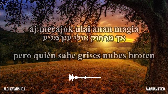 Aleh Katan Sheli - Avraham Fried (Español)