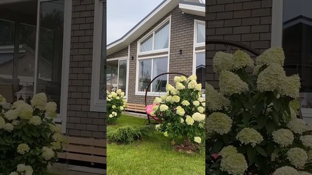 От суеты от шума городского #россия #москвичка #дача #отдых смотреть онлайн