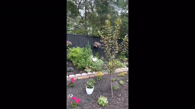 1950’s Theme Meet and Greet-Garden Tour смотреть онлайн