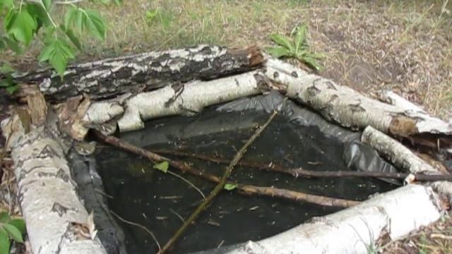 Летние поилки для птиц. Лесной водопой для пернатых. Июль. смотреть онлайн