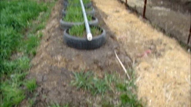 Весна.Работа с сидератом ржи//Сельское подворье на Урале// смотреть онлайн