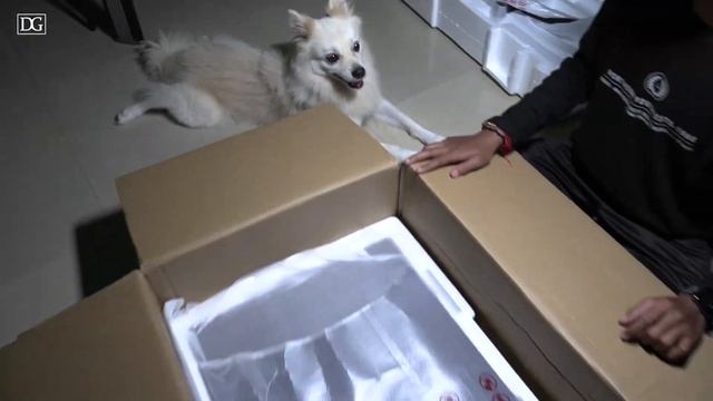 #lg32qn600 LG 32QN600 UNBOXING Best budget 2k Monitor under Rs- 24000 video by Dilu Goldboy смотреть онлайн