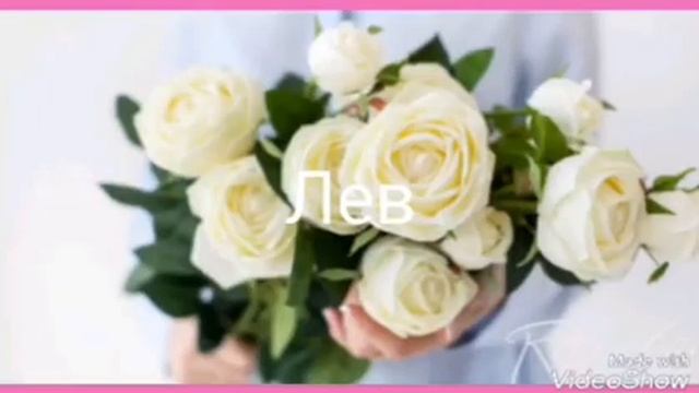 Какие цветы подходят по знаку Зодиака смотреть онлайн
