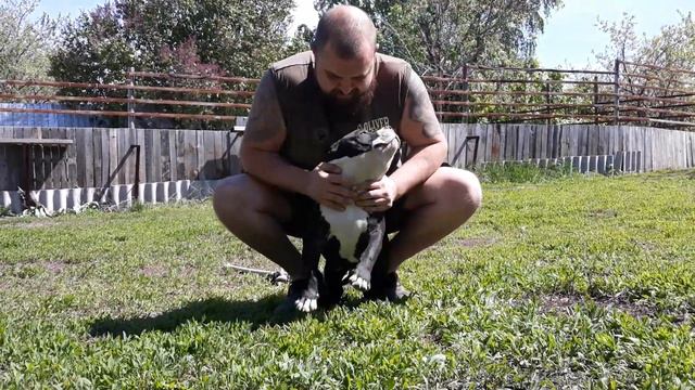 Хаммер💣 в ожидании родителей смотреть онлайн