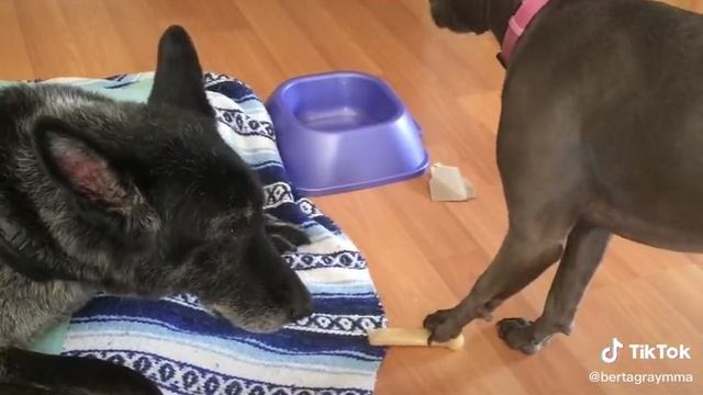 как красиво обокрасть друга смотреть онлайн