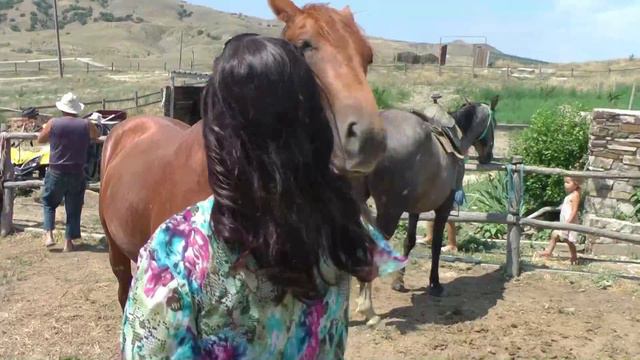 СУДАК 2015 - ПЕНЗА ... А где то в Крыму смотреть онлайн