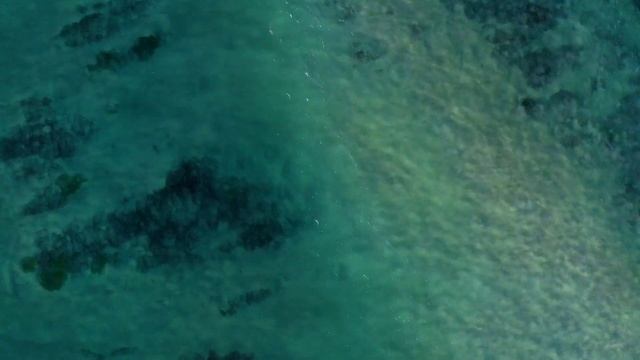 Дочь супруга назвала меня тварью и просит отца бросить меня смотреть онлайн