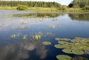 Вернулся в Россию. ЗАЧЕМ _.mp4