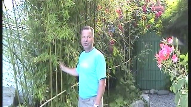 Артек с моря+Дача (Гурзуф)+дом Чехова (Ялта).VOB смотреть онлайн