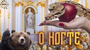 Урок 51. О Ногте. Что такое Интеллект. Русская Школа Русского Языка.