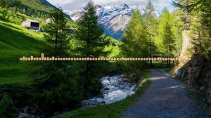 Хава Курбанова - Крылья любви (2024)