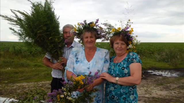 "Подсолнухи "-воспоминания о прошедшем лете смотреть онлайн