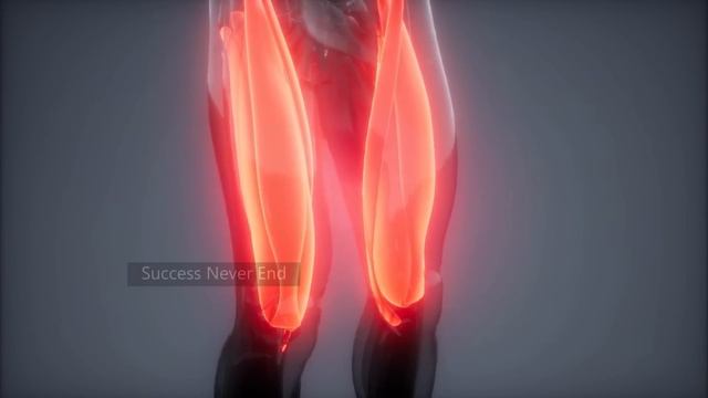এই 4 ট উপয় হরন শকত ফরয় আনন  How to recover your body energy with Investing Little Mone
