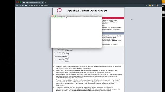 Installing LAMP and Configuring a Domain - WordPress Demo Part 2 смотреть онлайн
