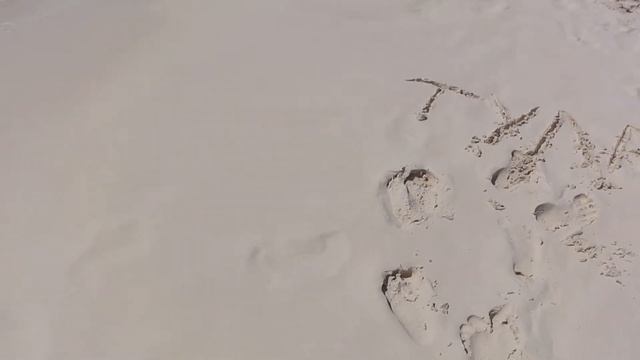 Куба Кайо Ларго 6 смотреть онлайн