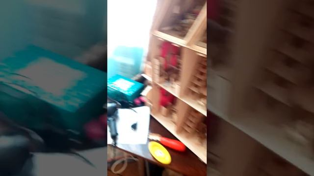Опыт 2 из магазинного куриного яйца смотреть онлайн