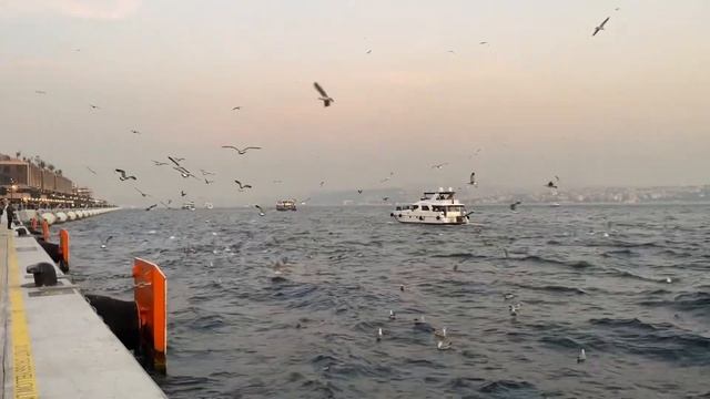 Один день в Стамбуле 2022 (Уличная Еда Стамбула - Места куда сходить) Saltbae ресторан район Галата