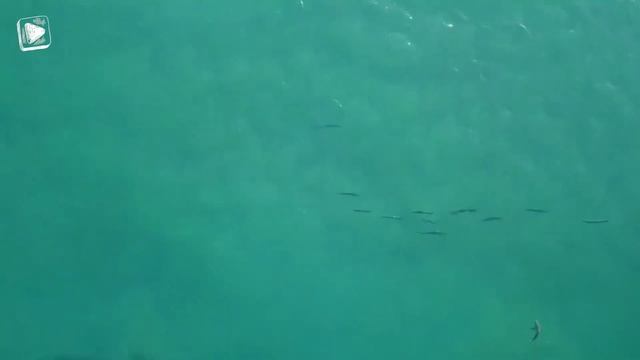 10 Dangerous Beaches You Should Not Visit смотреть онлайн