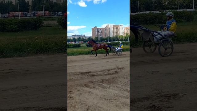 Мирабель Лок и мастер - наездник Раиль Габдрашитов. смотреть онлайн